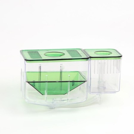 Lieaner - incubator for fry