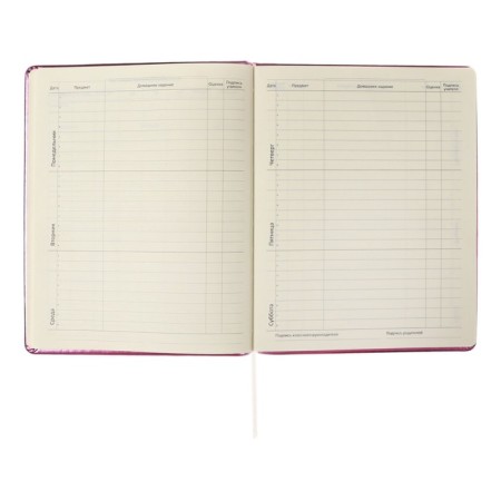 Universal diary for grade 1-11 Smart Thoughts, hard cover, artificial leather, foam rubber, silkography, lies, 80 g/m2-6