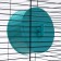 Wheel for rodents half -closed plastic, without a stand, 14 cm, turquoise