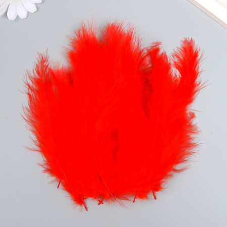 A set of feathers for creativity 30 pcs (14-17 cm), red