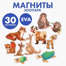 A set of magnets for games and training 
