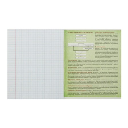 Subject subject calligrata "photo", 48 sheets in a cell biology, with reference material, cover coated cardboard, block offset-2