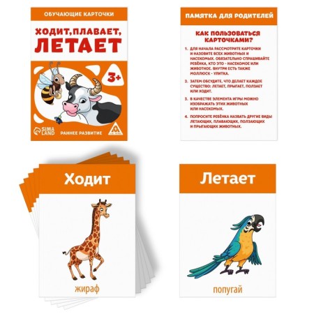 Training cards “Walks, swims, flies”, 16 cards, 3+-1