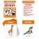 Training cards “Walks, swims, flies”, 16 cards, 3+