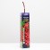 Grape seedling of crimson, spring 2023, 1 pc.