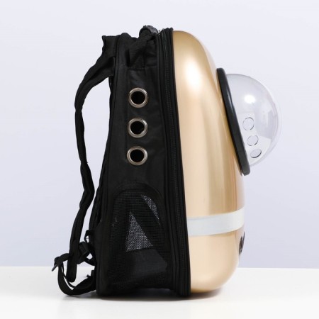 A backpack for carrying with a window for a review and a reflective strip, 32x26x44 cm, golden-2