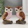 Polystone souvenir "Filin on the branch" MIX 3.5x5x8 cm
