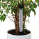 Thermometer for the soil, 23 cm
