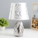 Riana desktop E14 40W silver white 20x20x33cm Risalux