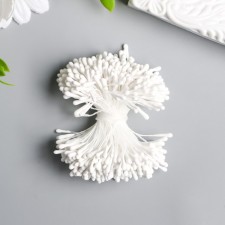 Stamens for flowers 