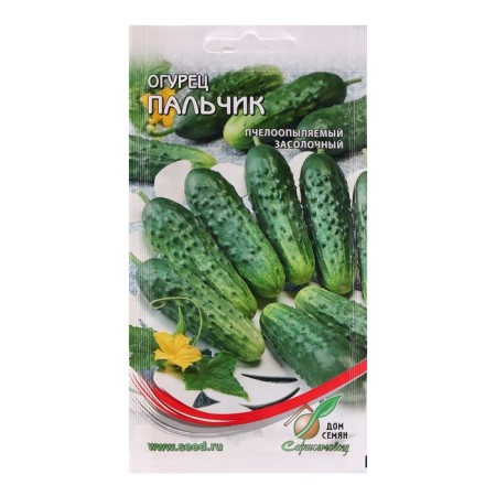 Seeds Cucumber "finger", 10 pcs
