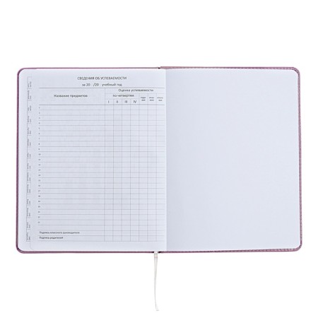 Universal diary for grade 1-11 Mentality, hard cover, artificial leather, liesse, 80 g/m2-11