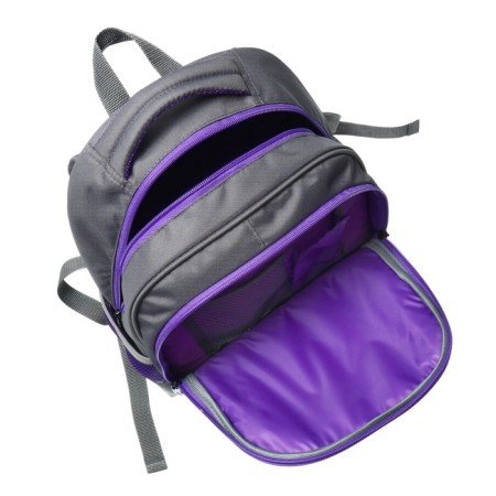 School backpack, 40 x 33 x 19 cm, ergonomic back, stavia "four cats", gray-8