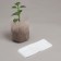 Пакет для рассады, 10.8 × 14.5 см, спанбонд плотностью 40 г/м², Greengo