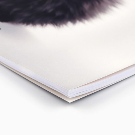 Album for drawing 40 sheets on the A4 spring “September 1: Black Fluff”-1