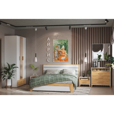 Cleat cabinet "Iris 41", 486 × 358 × 445 mm, white color / oak golden-3