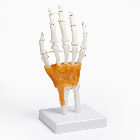 Model "Human Business" 22*12cm-5