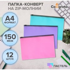 A set of paces-converts on the A4 ZIP-Molniya, 150 microns, Calligrata Pastel, with black zipper, translucent, pastel, 12 pieces, mix