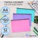 A set of paces-converts on the A4 ZIP-Molniya, 150 microns, Calligrata Pastel, with black zipper, translucent, pastel, 12 pieces, mix