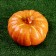 Figure "Pumpkin" 18x18x9cm