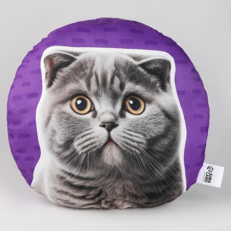 Pillow "British"-2