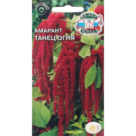 Flower seeds amaranth "Dance of Fire" 0.1 g