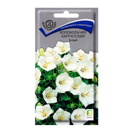 Flower seeds Carpathian white bell, 0.1 gr