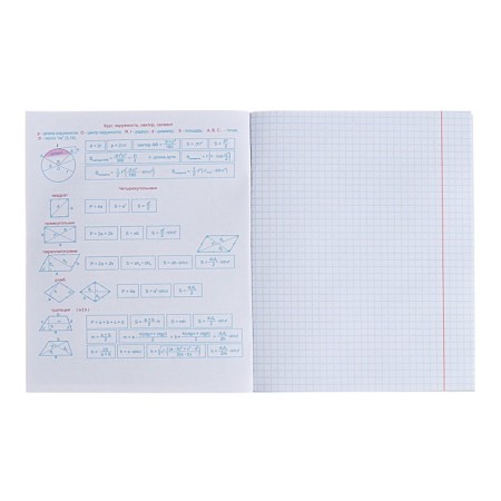 Subject “Domino”, 48 sheets in a cage, “geometry”, plastic cover, offset block-2