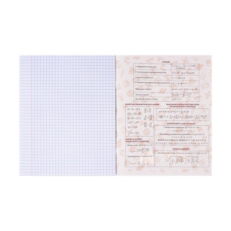 Notebook object neon animals Calligrata Top 48l Algebra Cl, region charts, neon print, offset-3