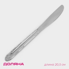 A stainless steel knife of the Sonya shares, length 20.5 cm, thickness 2 mm, silver color