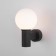 Street lamp with a glass ceiling Elektrostandard, Sfera, 170x120x219 mm, E14, Black color