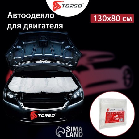 Authorized for the Torso engine, 130 x 80 cm-1