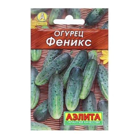 Seeds of cucumber "Phoenix" 20pcs