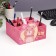 Organizer for storing trifles "You will succeed!" 9 departments 19x19x12