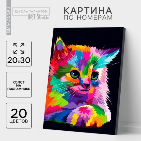 Picture on numbers on a canvas with a subframe "Kitten" 20x30 cm