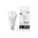 LED LED ELEMENTARY 25W A67 6500K cold. Bel. E27 2150LM GAUSS 73235