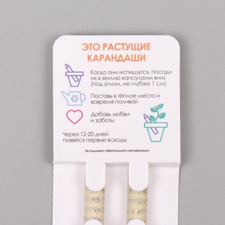 Growing gift pencils Mini "Silver acacia + clove" set 2 pcs.-2