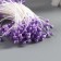 Stamens for artificial flowers "Lilac droplets" (set 130 pcs) length 6 cm