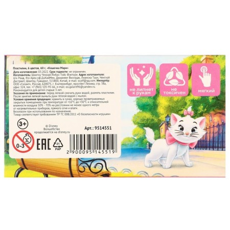Gift set for girls, 5 items, cats aristocrats-4