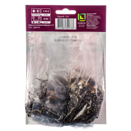 Lilies from hybrids Dalian, 14/16 rr, 2 pcs. 110-120 h (cm), autumn 2024-1