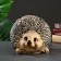 Pigger "Round Hedgehog" 18x16x25cm