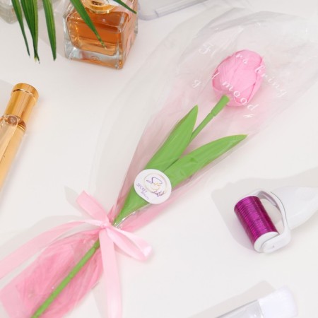 Soap tulip, pink-3