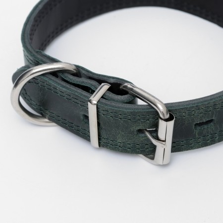 Collar leather two-layer 3 cm, Osh 35-47 cm, emerald-6