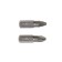 Tundra bats, magnetized, steel S2, PZ2 x 25 mm, 2 pcs.
