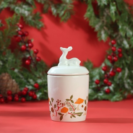 Bank for storage "New Year's Deer", 300ml