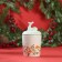 Bank for storage "New Year's Deer", 300ml