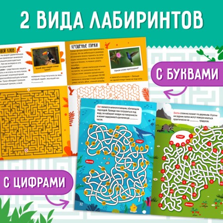 A set of training books "Labyrinths and Facts", 6 pcs.-2