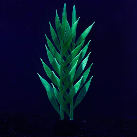 Silicone aquarium plant, glowing in the dark, 6.5 x 18 cm, green-1