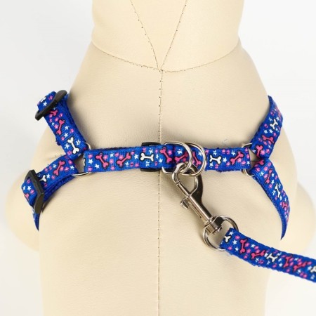 Set "Star Bones", leash 120 x 1 cm, og 23-35 cm, blue-3