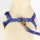 Set "Star Bones", leash 120 x 1 cm, og 23-35 cm, blue